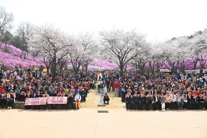 2-1. 부천 원미산 진달래 축제는 지난 1~2일 6만 여명이 방문하며 성황리에 개최됐다.jpg