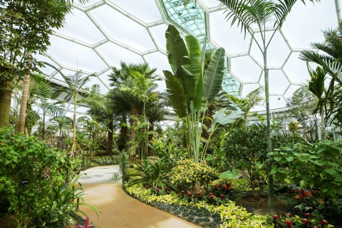 수정됨_6. 부천호수식물원 수피아는 온실 형태로  추운 겨울에도 따뜻하게 사계절 푸른 식물을 감상할 수 있다.jpg